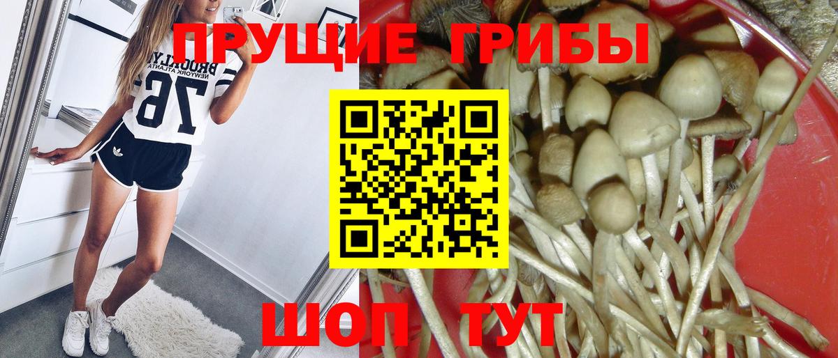 Галлюциногенные грибы мухоморы Партизанск