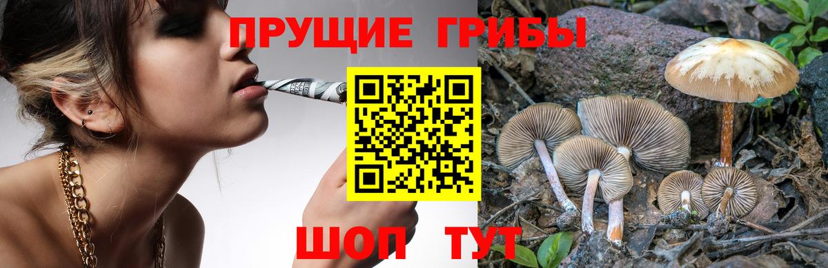 Галлюциногенные грибы Psilocybe  купить   Партизанск  Вход с VPN 