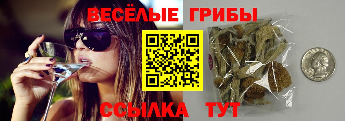 Псилоцибиновые грибы Cubensis  Галлюциногенные грибы MAGIC MUSHROOMS  Партизанск 